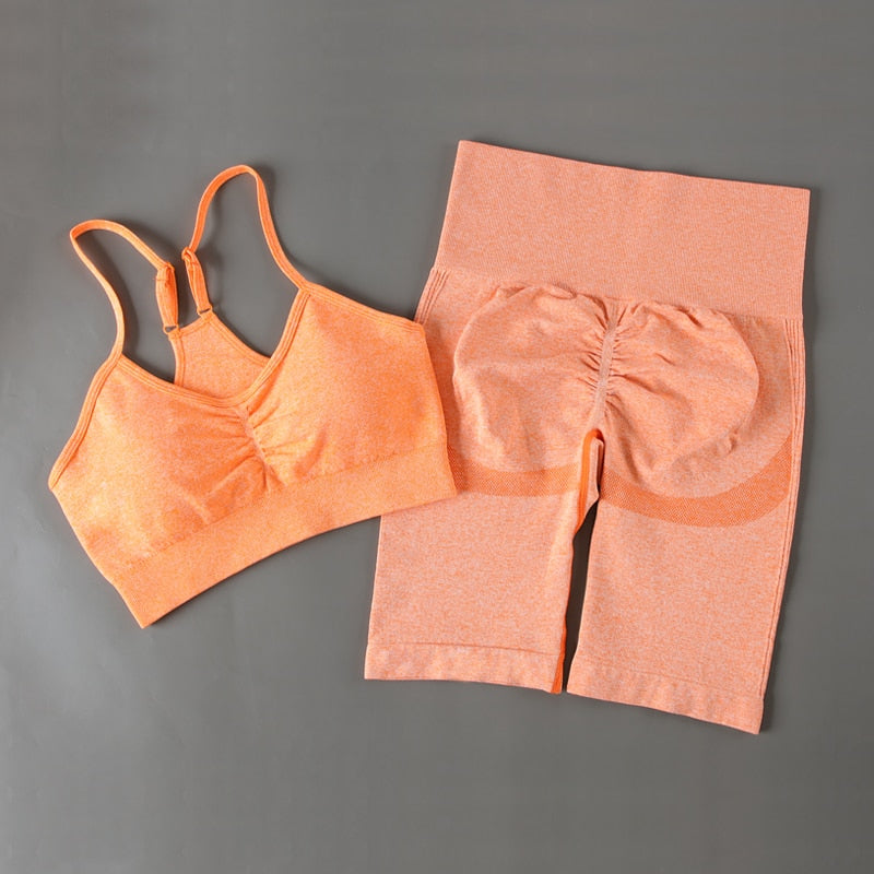 Seamless Shorts Yoga Set